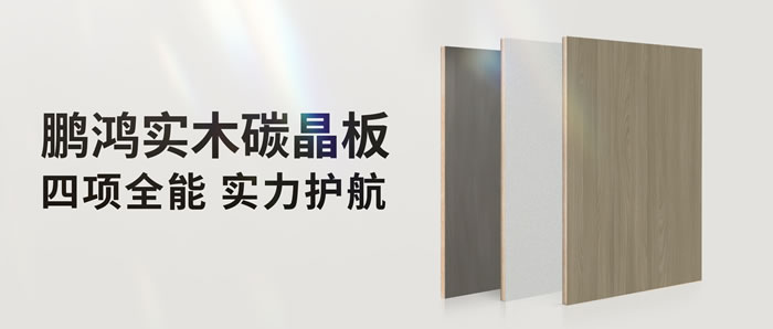四项全能碳晶板，解锁家装超能力